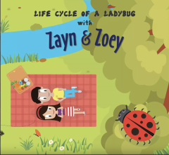 ZZ - Zayn and Zoey - Life Cycle of a Ladybug